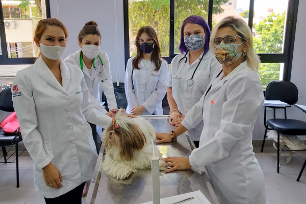 Curso De Auxiliar VeterinÁrio MÓdulo 1 Cpea 