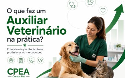 O que faz um Auxiliar Veterinário na prática?