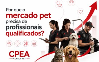 Por que o mercado pet precisa de profissionais qualificados?